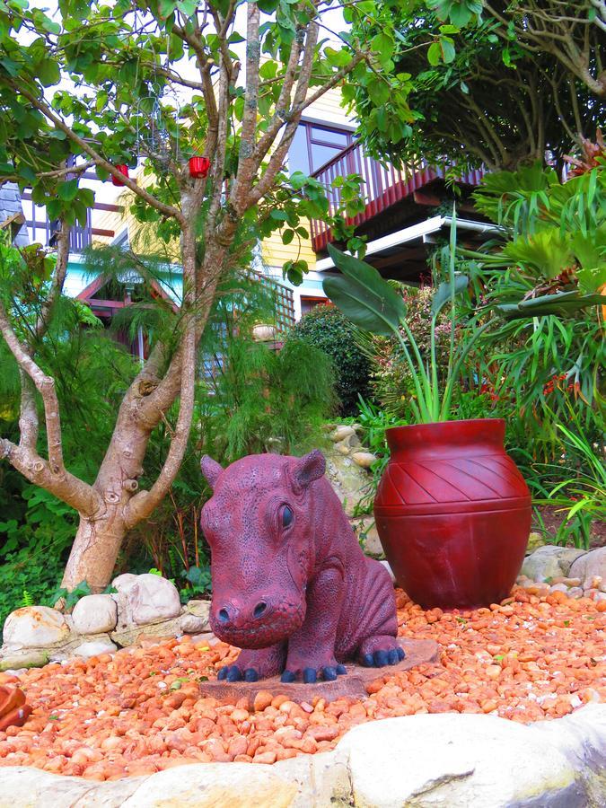 Apartamento Footprints Of Knysna Exterior foto