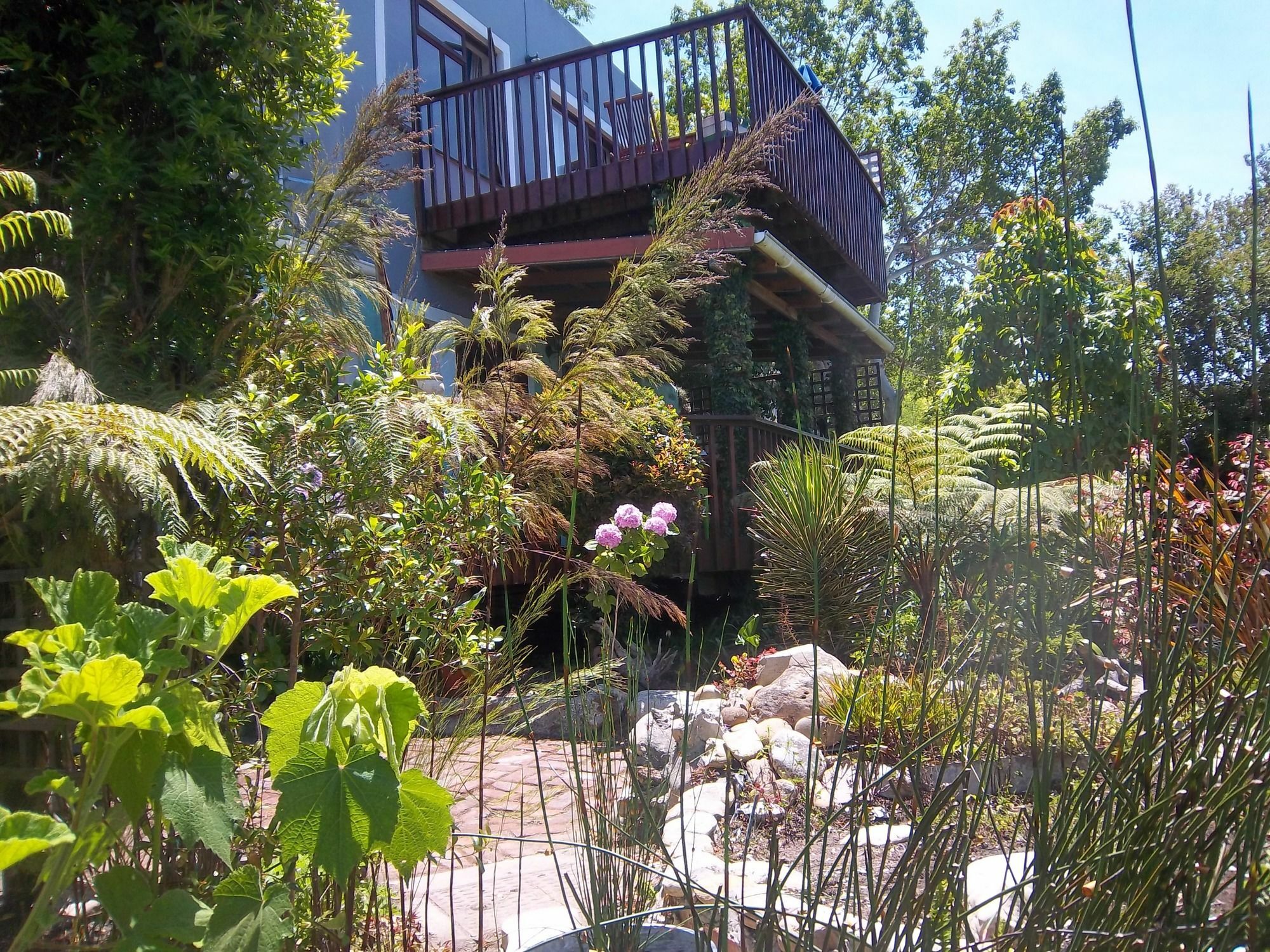 Apartamento Footprints Of Knysna Exterior foto